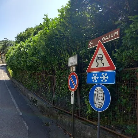 Cortile Di Natalia Canzo